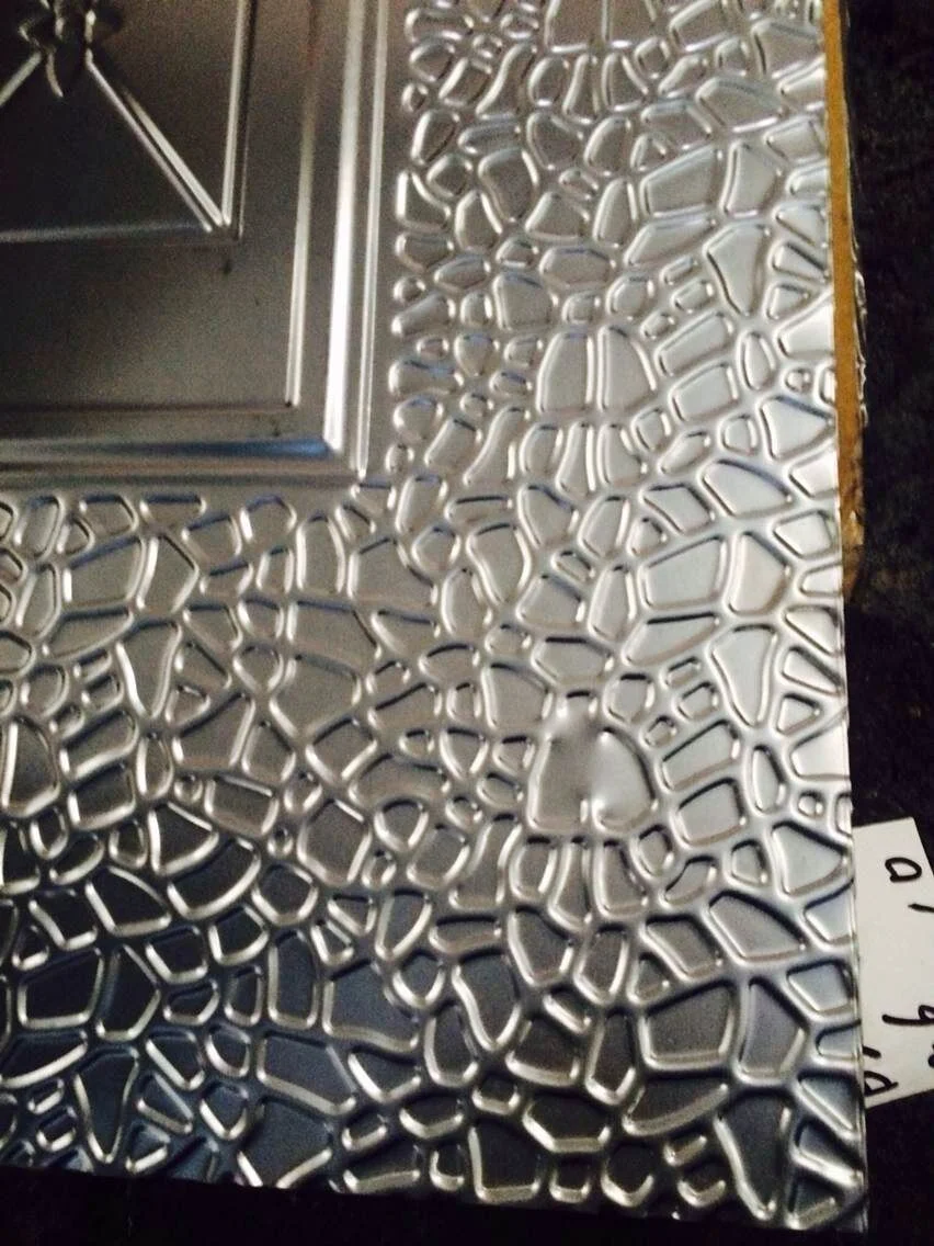 3D Pressed Steel Door Skin/Steel Sheet/Steel Plate (RA-C005)