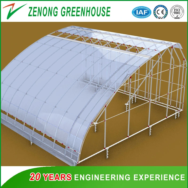 Quick Heat Accumulation Quick Heat Releasing Plate System Specially for Solar Greenhouse Cold Season Vegetables Culture with Low Cost Zero Energy Consumption