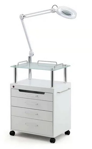 Hochey Medical Simple and Modern Hair Salon Shop Special Trolley Gold and Silver Stainless Steel Material