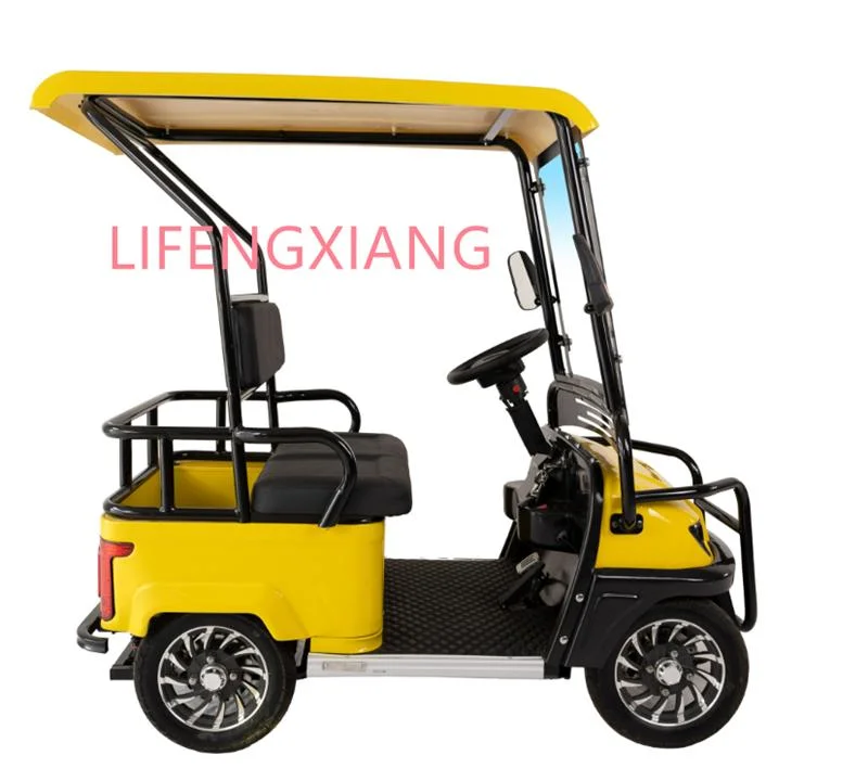 New Design Factory Wholesale/Supplier Price Customizable Adult Battery Operated Electric Golf Cart Car with 800W Motor