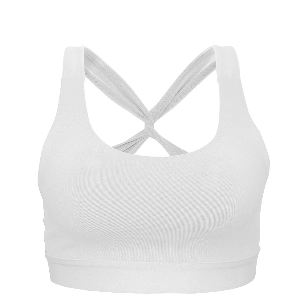 Sports Softy Big Size Solid Sexy Breathable Cotton Plus Bra for Women