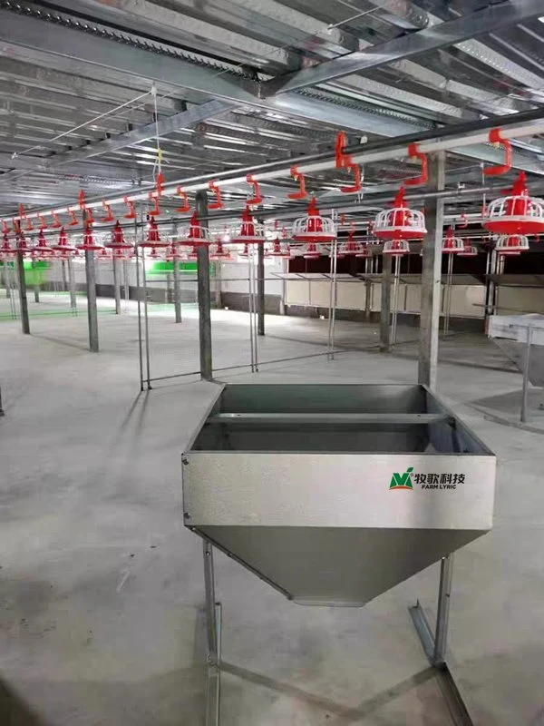 Equipamento de alimentação de aves totalmente automático para explorações pecuárias