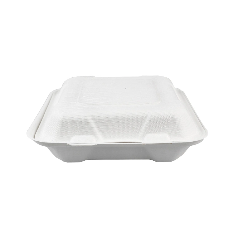 Disposable Biodegradable Compostable Sugarcane Bagasse Lunch Food Take Away Box Container