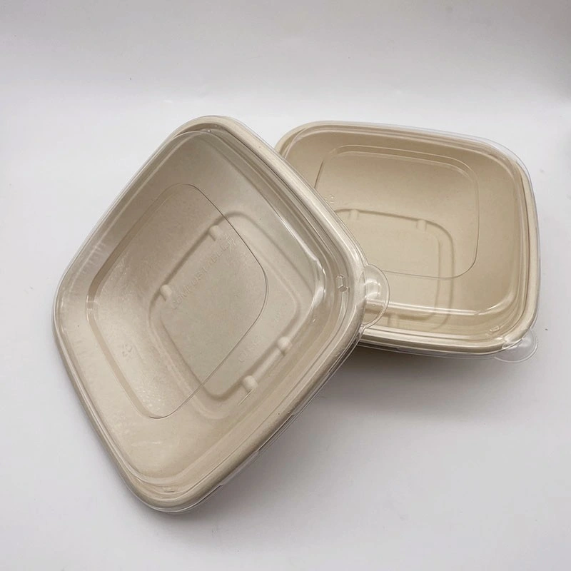 Environment-Friendly Sugarcane Pulp Single Lattice Square Packing Box