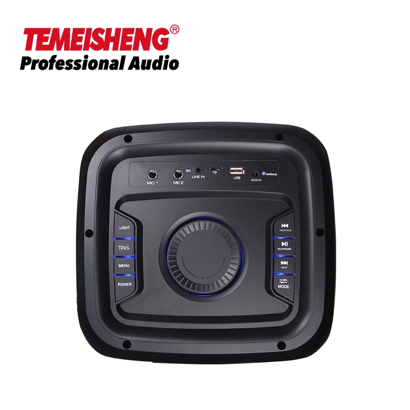 Temeisheng Hot-Selling Portable Wireless Speaker 6.5 Inch Woofer Max Bass Professional Karaoke System