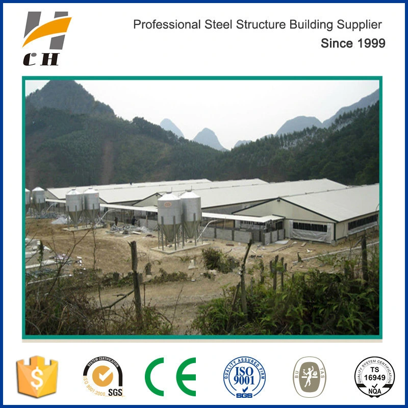 Prefab Low Price Light Steel Structure for Poultry Farm/Poultry Shed/Chicken Farm/Chicken Shed