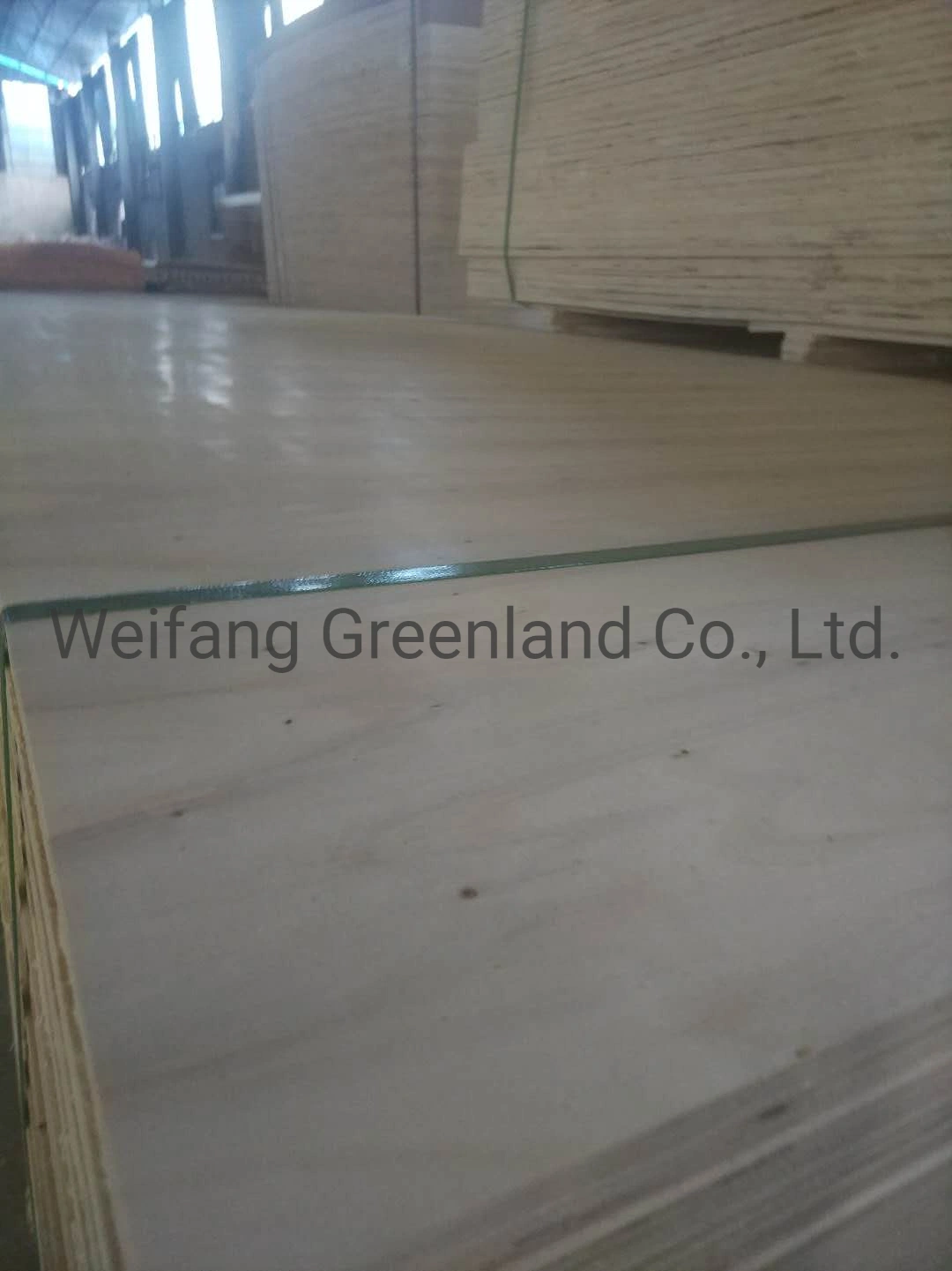 Poplar Wood, Hardwood, Packing Grade Plywood with Various Sizes and Thickness