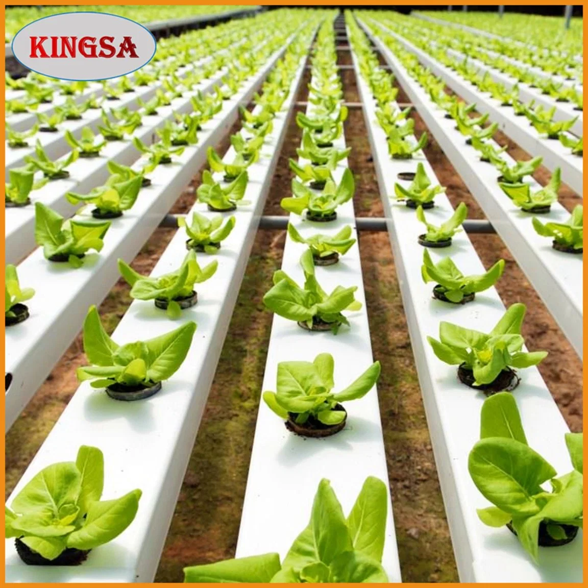 China Multi Span película Agrícola Hydroponics sistema de riego película plástica /Po Film Greenhouse para la venta