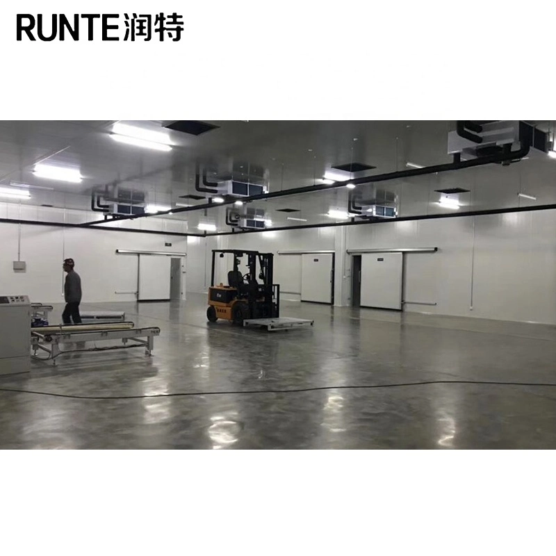 Runte Brand Industrial المتكاثفة الوحدة PU لوحة المشي في الثلاجة حجرة التجميد Air Blast Cold Room Storage for thuroat throat mat الأسماك المأكولات البحرية سابقة التجهيز