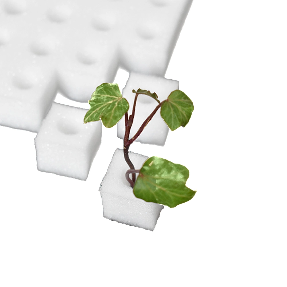 Hydroponics Vegetables Seedling Sponge Plant Sponge for Garden