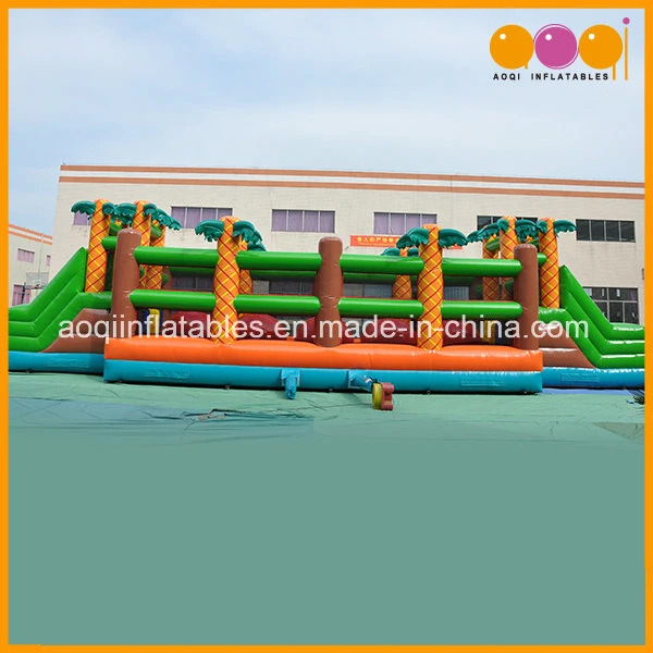 Coco Sphere Obstacle Iflatable Slide Game with Cheap Price (AQ16213)