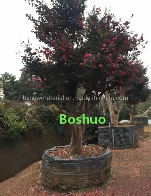 Horticulture Heavy Duty Garden Jumbo Black Round Plant Planting Root Pot for Gardening Bonsai Shrub Specimen Datepalm Hedges Mable Trees Chinese Manufacturer