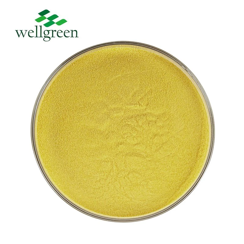 Natural Plant Extract Food Grade 95% Quercetin Powder CAS 482-35-9 Isoquercitrin