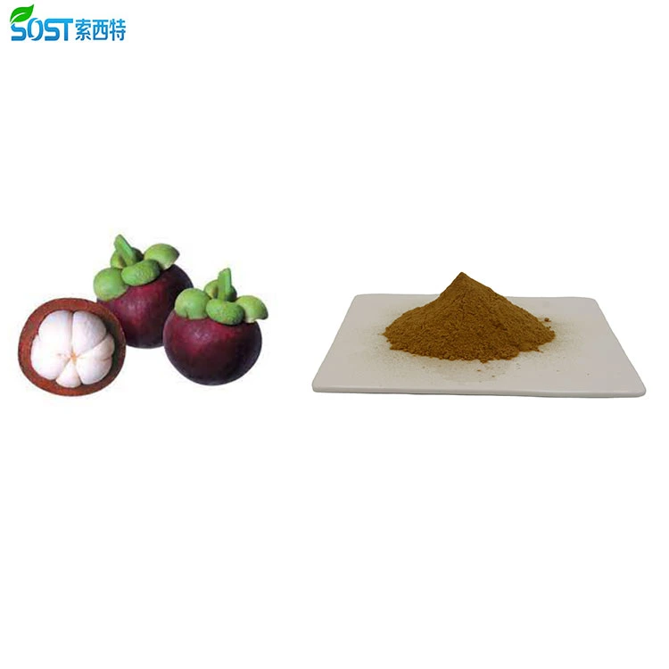 Brown Yellow be rich in  &alpha;-Mangostin Mangosteen Extract Powder