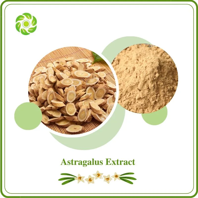 World Well-Being Biotech ISO&FDA Certified 10%-98% Polysaccharides 1%-98% Astragaloside IV CAS 83207-58-3 98% Cycloastrogenol CAS 78574-94-4 Astragalus Extract