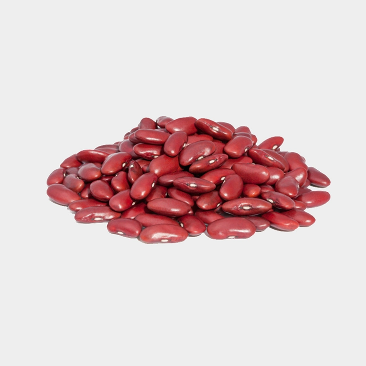 New Crop Red Kidney Beans