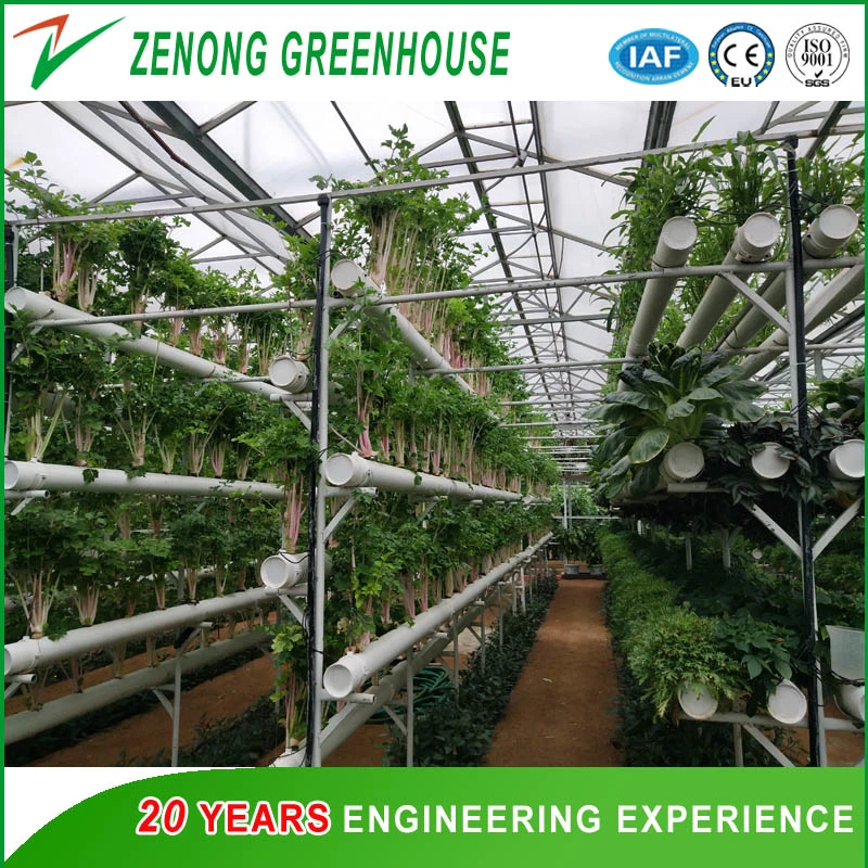 Greenhouse with Hydroponics System of PVC Channel/Column/Tower