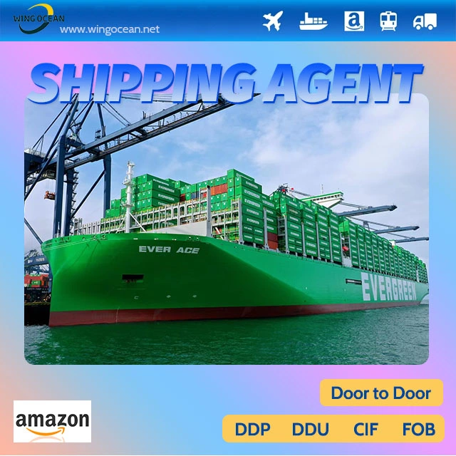 Shipping From China to Germany Excellent and Professional Amazon Logistics Service Supplier