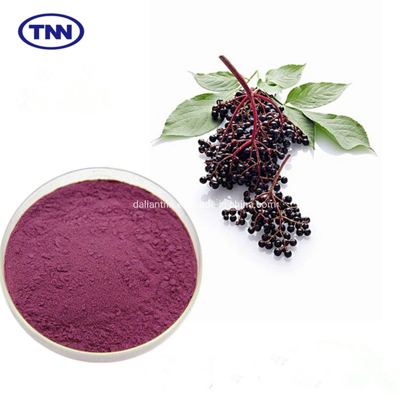 Factory Wholesale/Supplier Procyanidins Anthocyanidin Black Elderberry Powder