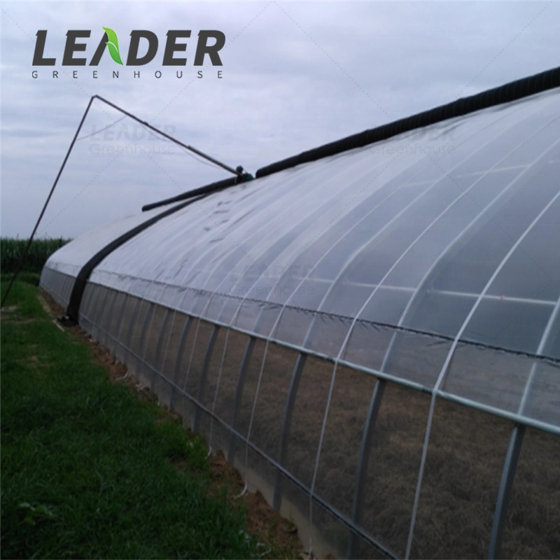 Greenhouse Clear Plastic Film Polyethylene Covering Film with Low Price