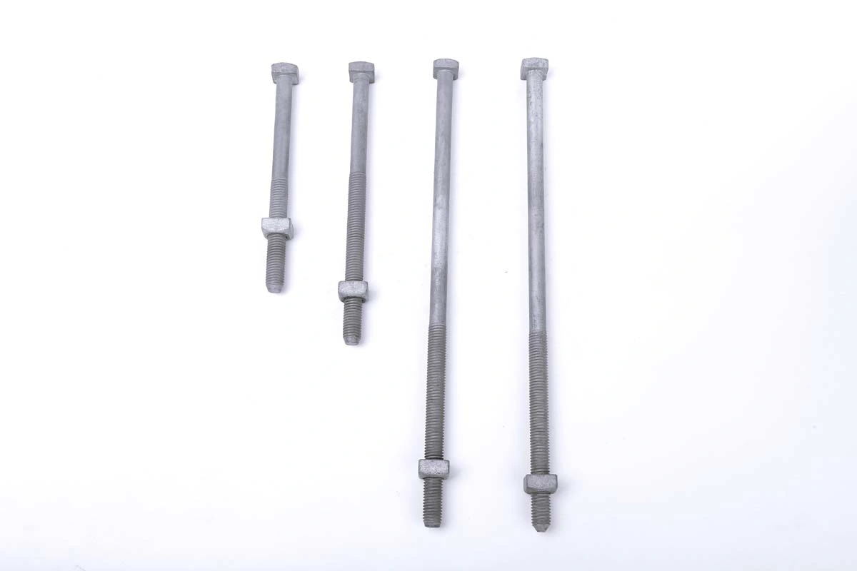 Galvanized Lag Screw for Pole Line Hardware