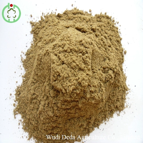 Fish Meal Powder Production Superior Quality Health Food