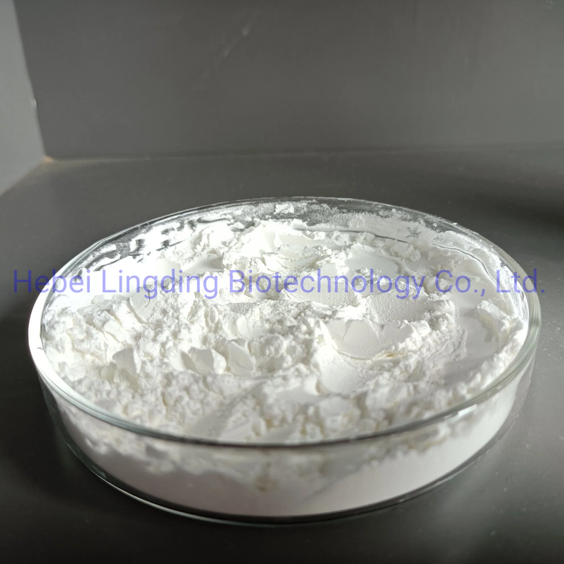 Ascorbyl Palmitate 137-66-6 High quality/High cost performance  and Competitive Price