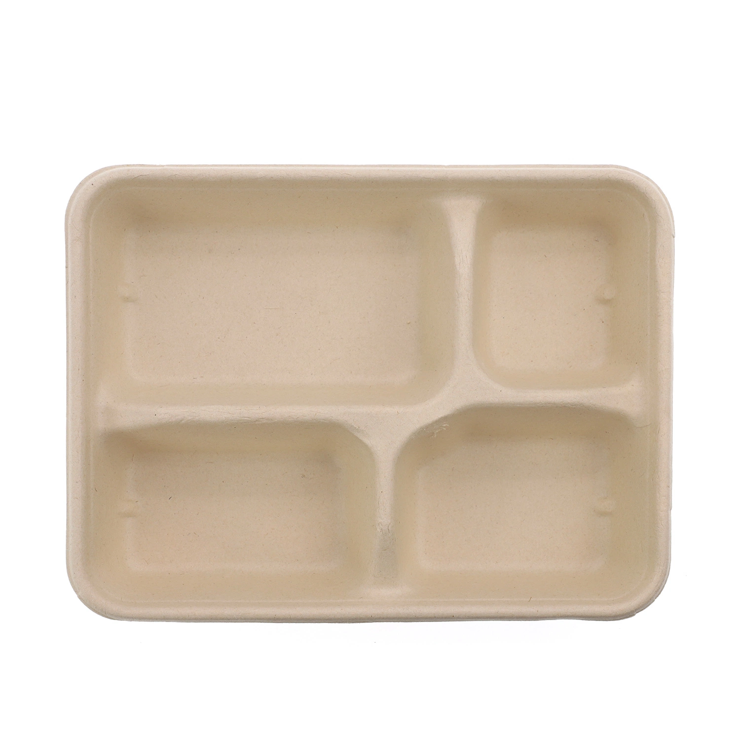 Biodegradable Takeaway Food Container Sugarcane Bagasse Disposable 4 Compartment Lunch Box with Lid