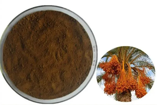 Date Extract Powder with 4: 1 10: 1 Phoenix Dactylifera L.