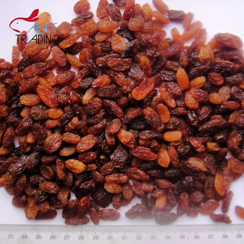 Wholesale/Supplier Xinjiang Factory Low Price Dried Red Raisins Bakery Sultana Raisins