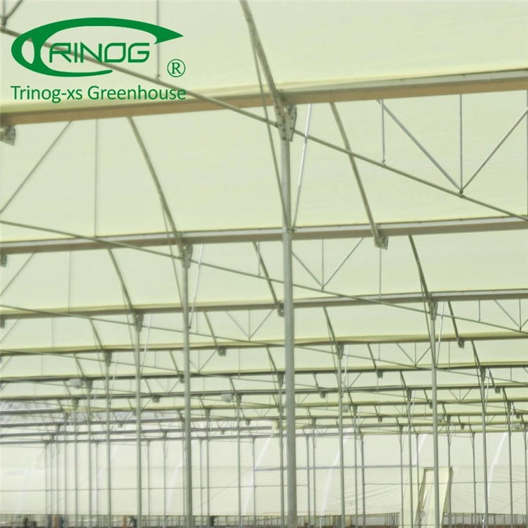 2020 Original Factory Multi-span Film Greenhouse