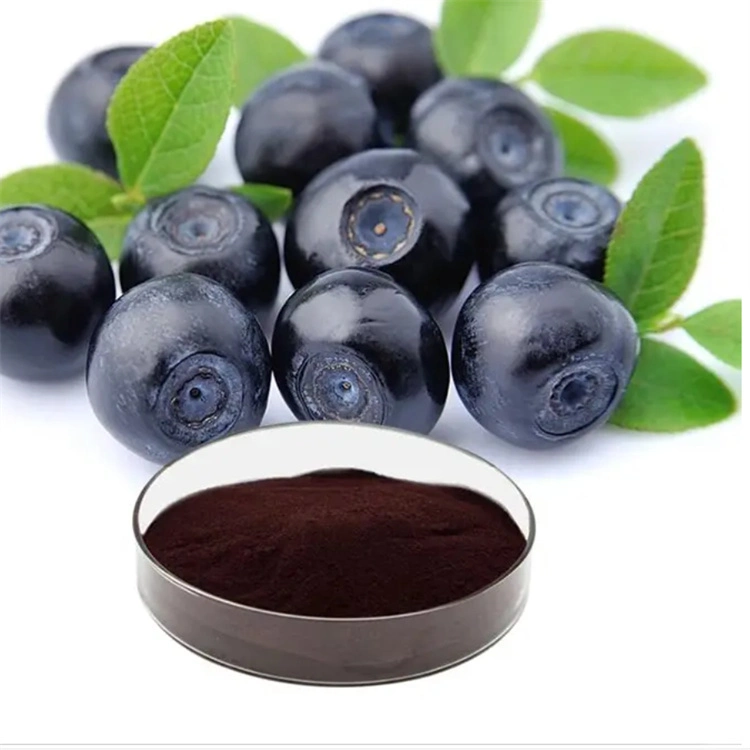 Natural Blueberry Extract 5%-30% Anthocyanidin Anthocyanin Powder