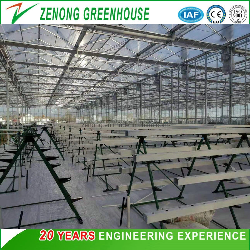 Easy Installation and Transportation Vertical a-Style Frame with PP/PVC Channels for Greenhouse Hydroponice