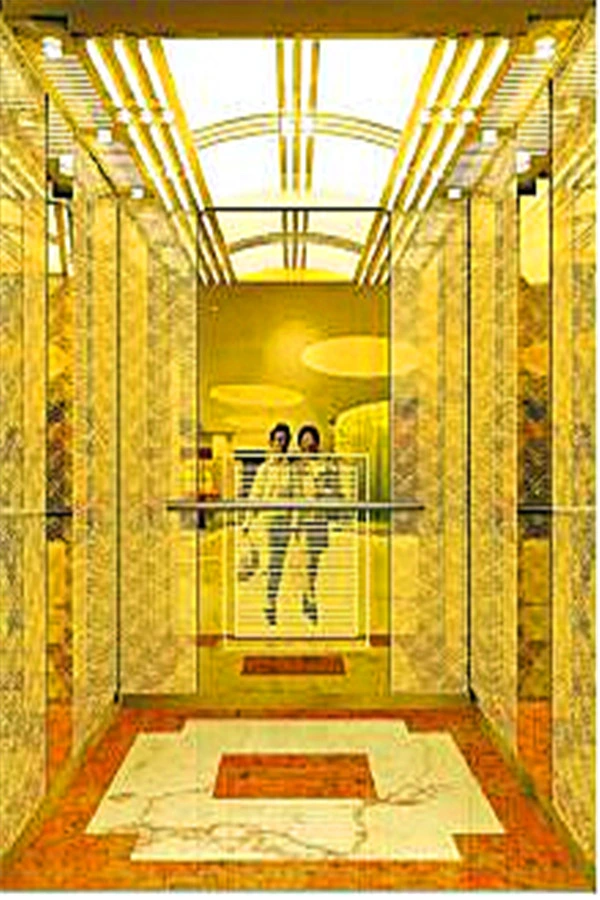 AC Original Factory Quality Hotel Home Elevator Lift