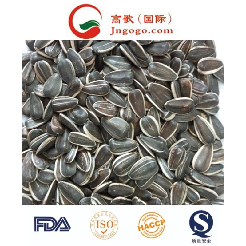 Bird Seed Round Type of Sunflower Seeds From Jngogo