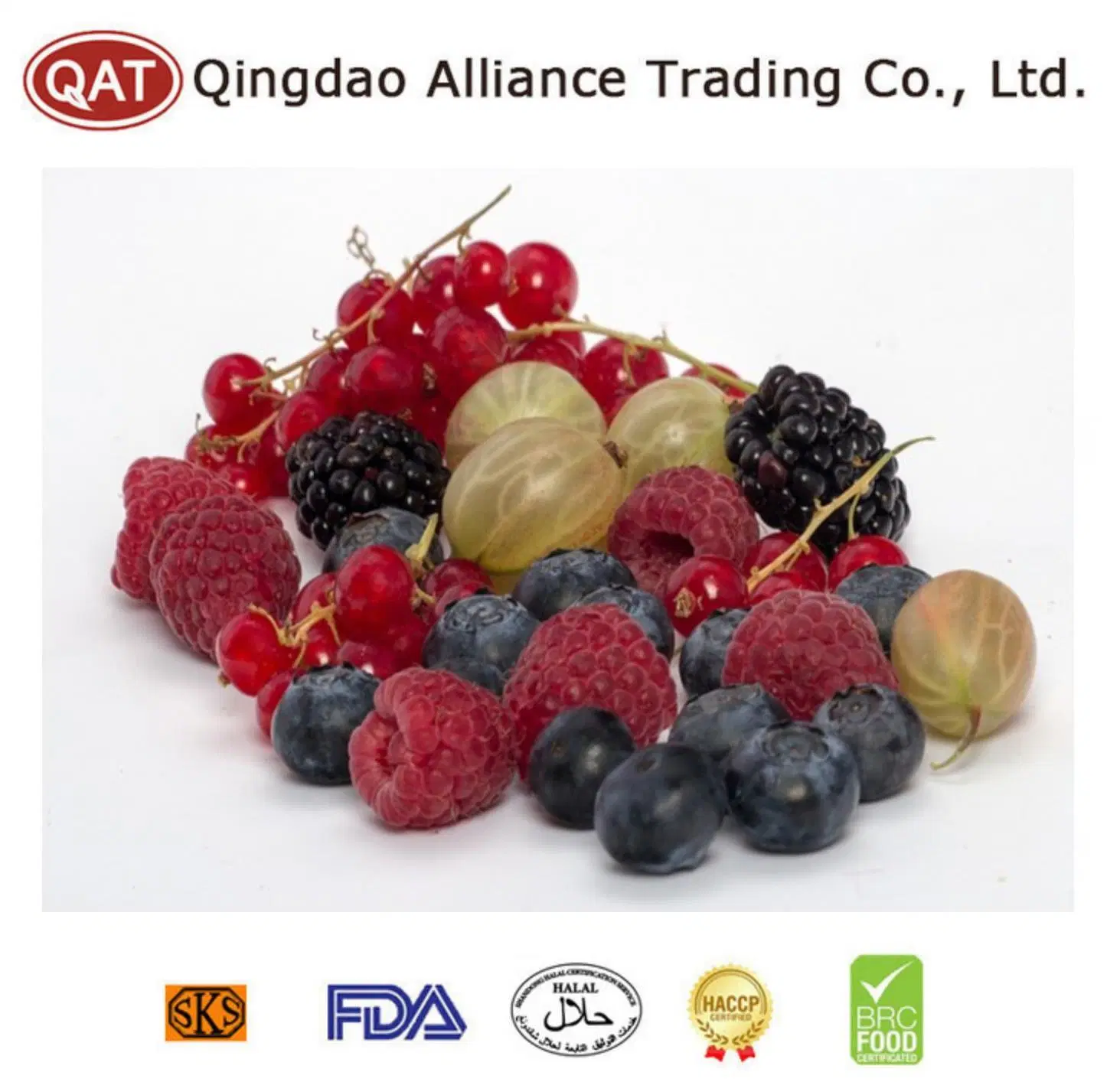 IQF frutas de bagas mistas da China Fornecedor com Kosher, HACCP, BRC certificado