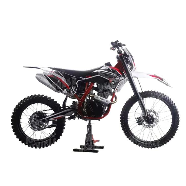 110cc 125cc Dirt Bike for Adults Motorcycle
