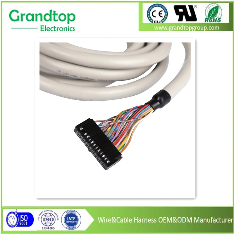 Wholesale/Supplier Power Adaptor Electric Cable Harness Switch to Connector Car Engine Automobile in China