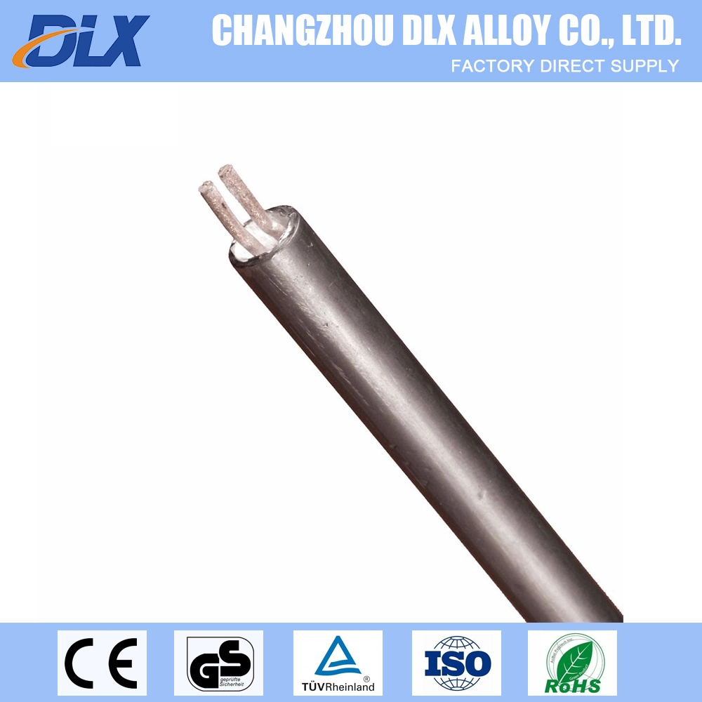 SS316 Sheathed Heating Extension Mi Cable for Rtd or Thermocouple Control Electric Waterproof Rubber Mineral Cable