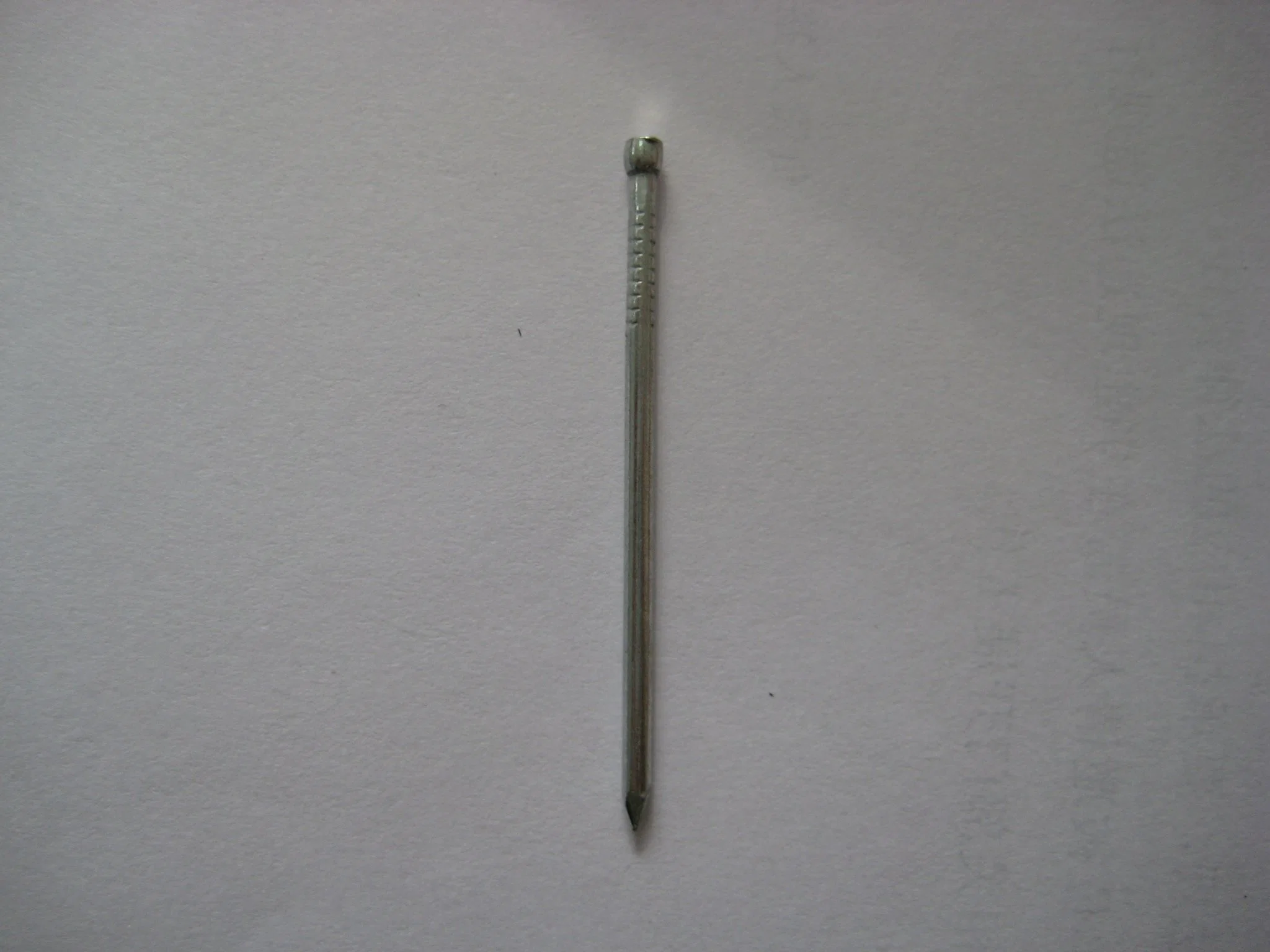 Polished Jolthead Nail / Furniture Nail (Plain)