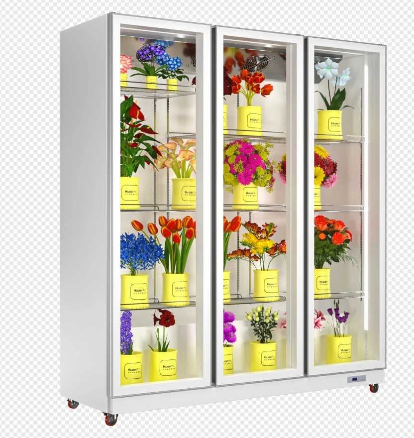 Upright Glass Door Display Fridge for Flower