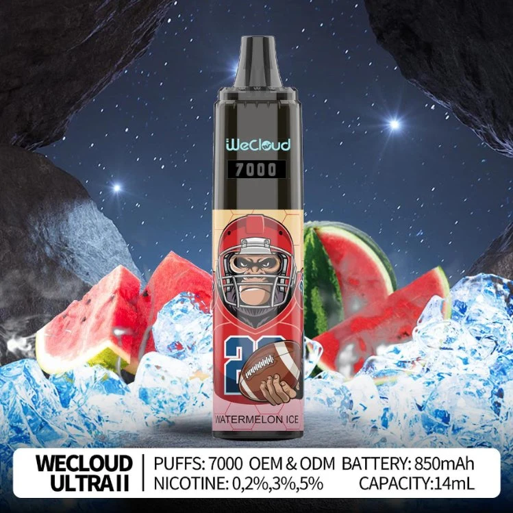 Wecloud OEM Fabrik Günstige Großhandel/Lieferant Custom Einweg Vape Pen Aroma King Typ C E Zigarette wiederaufladbare Vapes RGB glühenden Randm Tornado 7000 Puff