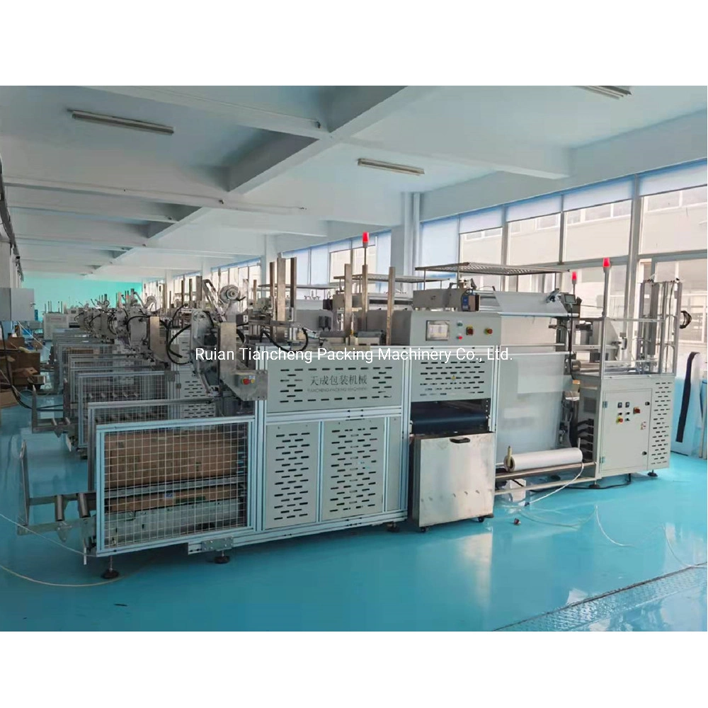 Fully Automatic Plastic Lids Counting Packing Machine and Case Loader