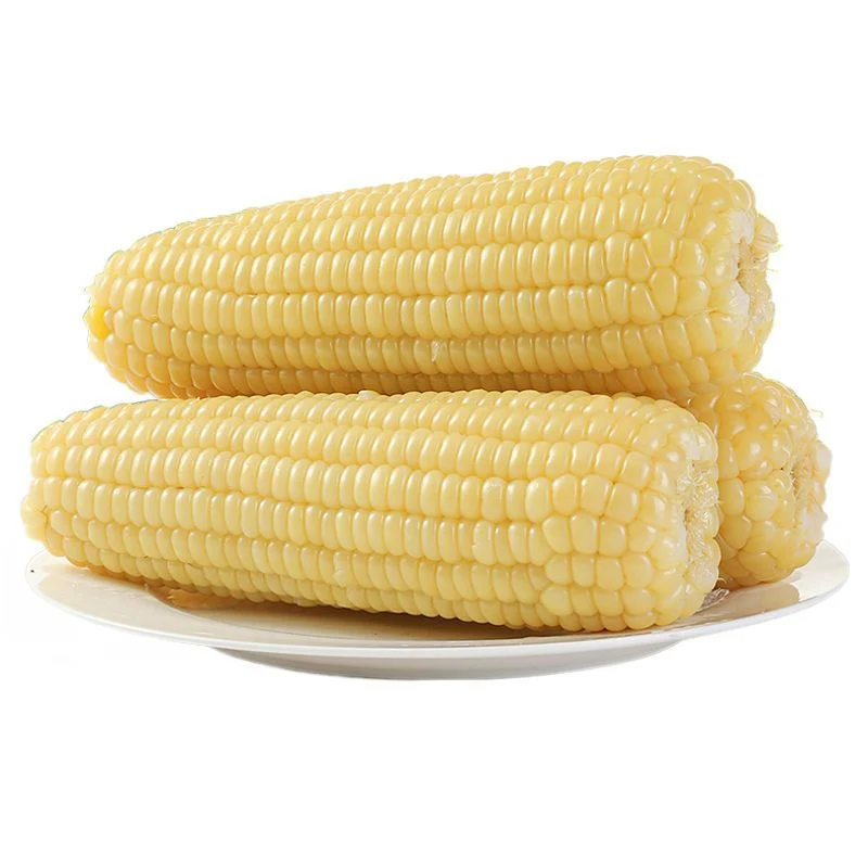 IQF Frozen White Glutinous Sweet Corn Non-GMO Cooked Sweet White Corn