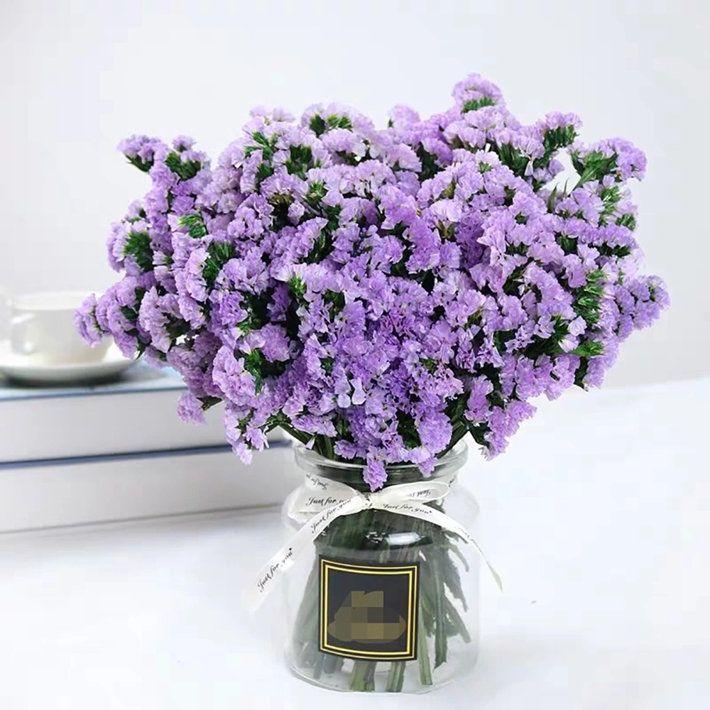 China Supplier Wholesale/Supplier Hot Sell Fresh Cut Flowers Statice for Best Decoration