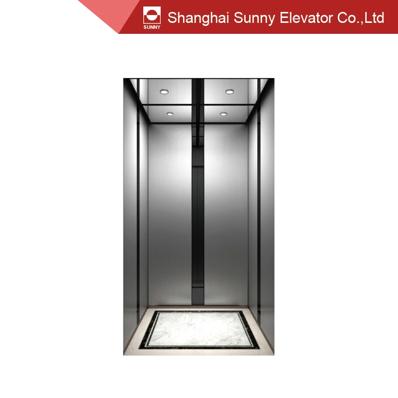 Home Elevator Ceiling Steel Plate Baking Paint and LED Lighting