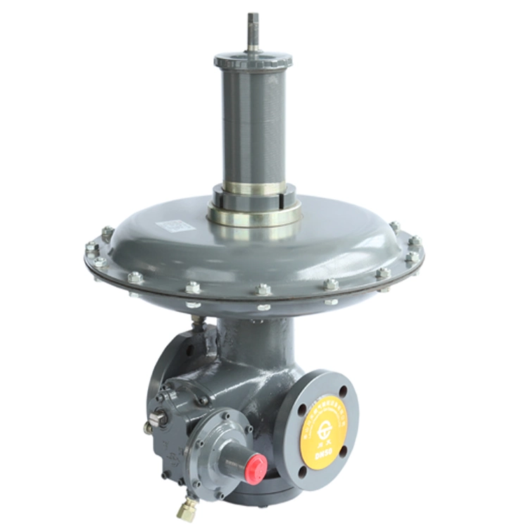 Industry 2" Natural Gas Regulator for Gas Regulating Station