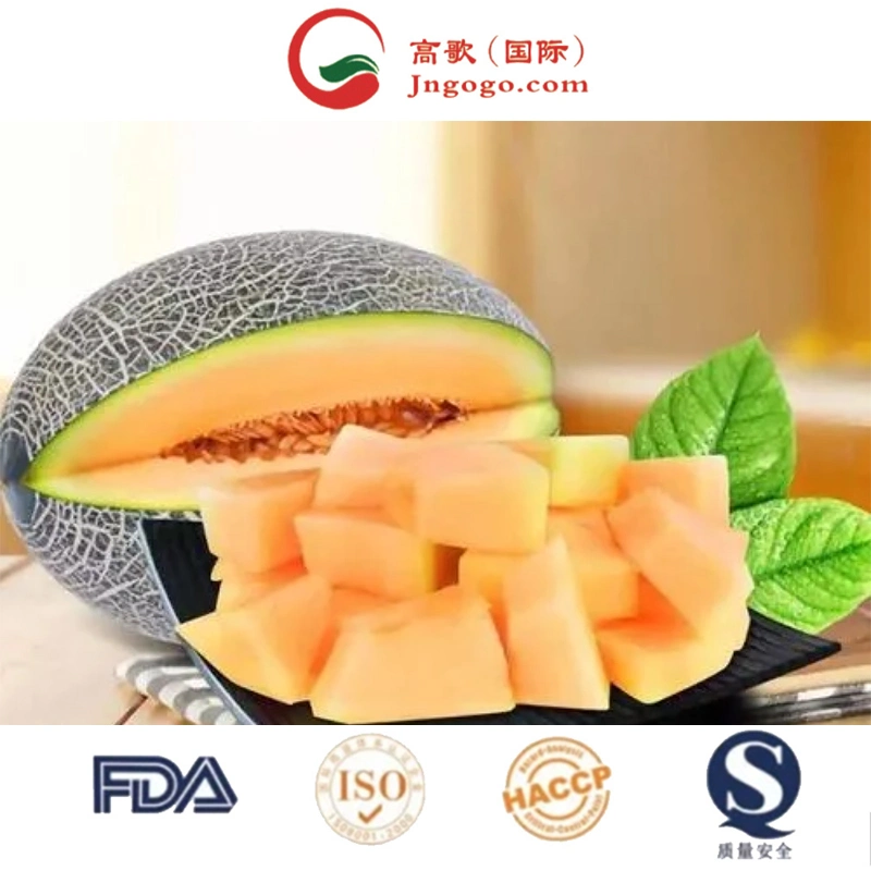 Le melon cantaloupe organiques fraîches 2022