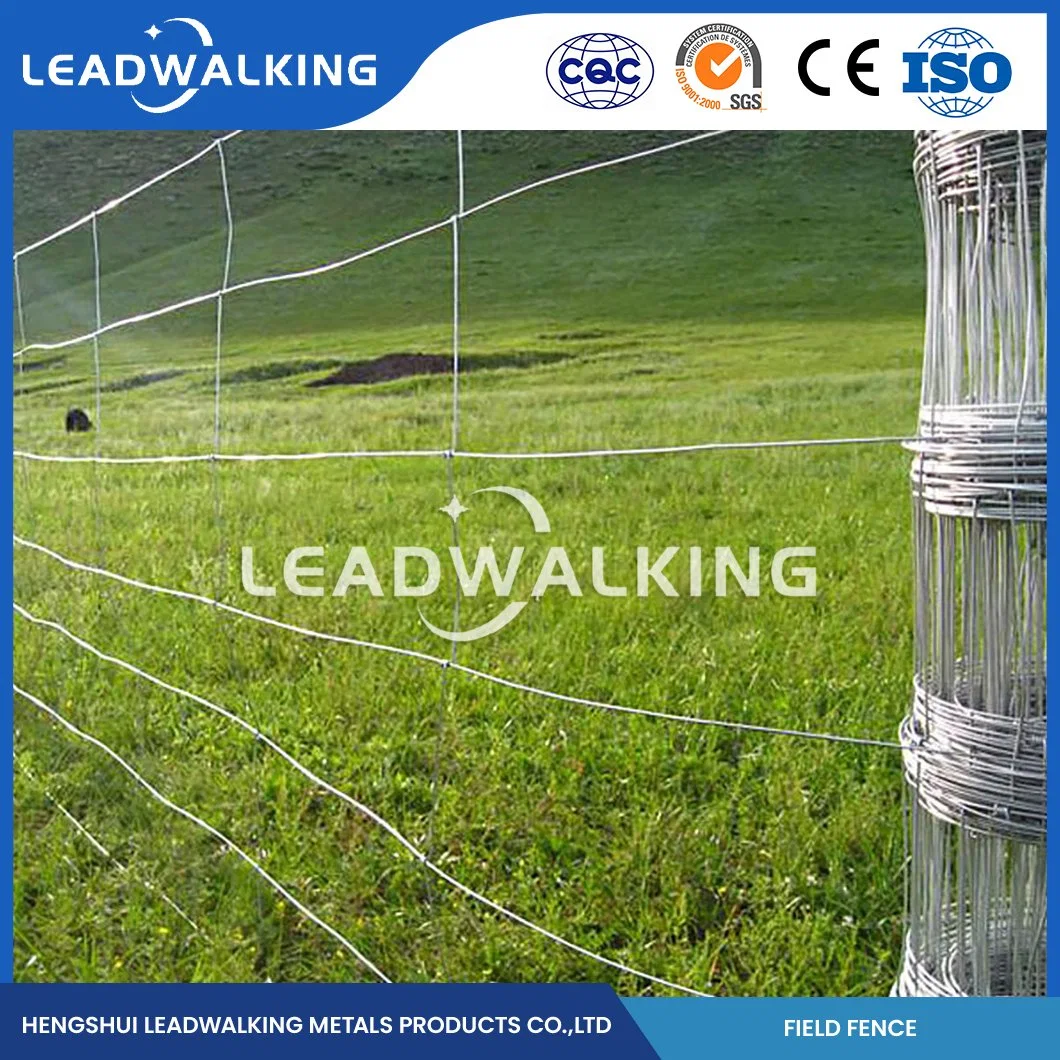 Leadwalking Bulk Field Fence High-Quality Galvanized Farm Field Fence Manufacturing China Long-Lasting Cattle Feeding Fence