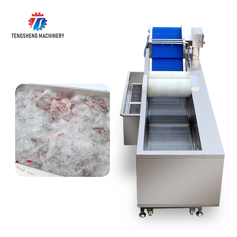 Commercial Brush Fruit Bubble Washer Industrial Vegetable Cleaning Machine Ts-X300m